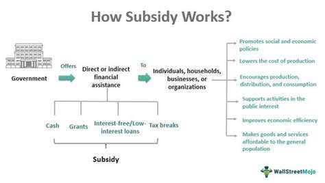 subsidy 뜻: 정부 지원이 경제에 미치는 영향